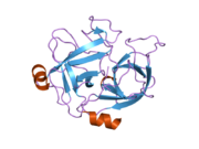 2asu: Crystal Structure of the beta-chain of HGFl/MSP