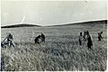 Harvest competition during the first harvest celebrations in the early 1950s