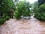 Pleiße Hochwasser 2013 in Langenhessen / Oberer Anger