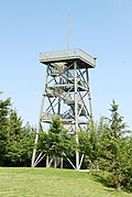 Der Aussichtsturm auf dem Prochenberg von der Hütte aus gesehen