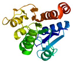 Protein PARK7 PDB 1j42.png