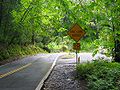 Road to Hana, Maui (Wikimedia Commons)