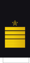 Russia-Navy-OF-8-Sleeve.svg