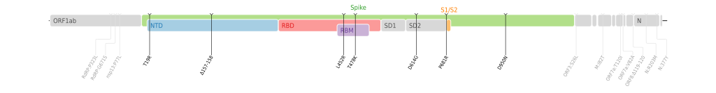 Mutasi asam amino varian Delta SARS-CoV-2 yang dipetakan pada peta genom SARS-CoV-2 dengan sorotan pada bagian bulir