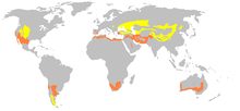 En taronja les estepes subtropicals temperades. En groc les estepes fredes.