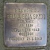 Stolperstein für Selma Sina Simon geb.Katz