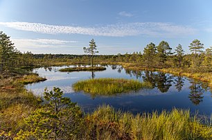 Parc national de Lahemaa (Estonie). (définition réelle 5 616 × 3 701)