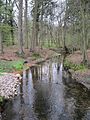 Beek bij de Bullmühle in Varnhorn, ca. 6 km ten NO van Visbek