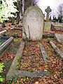 Grave of William Henry Gaunt