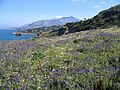 Réserve naturelle de Zingaro : vue sur Castellammare del Golfo