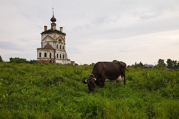 182. Церковь Михаила Архангела, Весь, Суздальский район Автор — Ted.ns