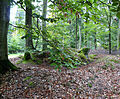 Wp 10/10 Nördlicher Holzturm