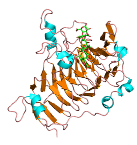Пектиновая метилэстераза из Dickeya dadantii в комплексе с гексасахаридом. PDB 2ntb [1]