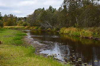 Ån Alajõgi.