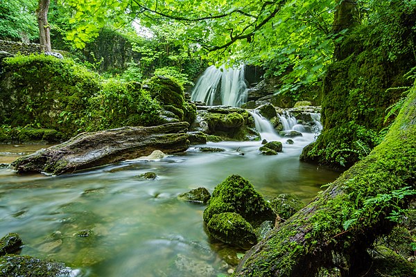 Beautiful-cascade-creek-460621