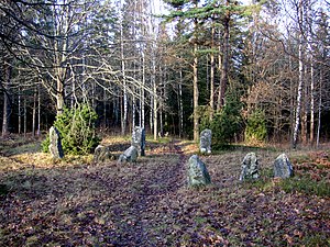 Järnåldersgrav vid Bergaholm