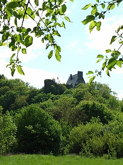 Burg Waldeck (Hunsrück) (1).JPG