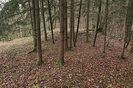 Image 8: View over the slightly higher SE site of the site (Dec 2014)