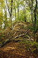 Burgstall Große Schwedenschanze Westseite (bei Schönbrunn/Landshut)