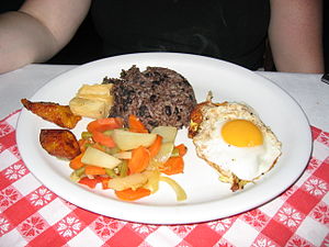 Costa Rican Cuisine Dinner