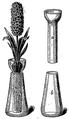 Die Gartenlaube (1884) b 536 1.png Verbesserte Hyacinthen-Gläser