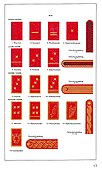 Distinctieven der Beweging NSB Nationaal Socialistische B. (Dutch Nazi movement Uniforms insignia flags Booklet c 1940-42) p 17 W.A. Weerbaarheidsafdeling (paramilitary ranks collar tabs shoulder straps). No copyright. Bright image.jpg