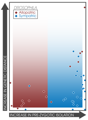 Prezygotic isolation in allopatric (red) and sympatric (blue) species pairs of Drosophila. Gradients indicate the predictions of reinforcement for allopatric and sympatric populations. Enhanced pre-zygotic isolation in Drosophila (allopatric & sympatric plots-vert).png