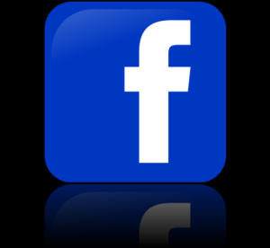 This is icon for social networking website. Th...