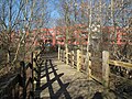 Holzbrücke an der High-Deck-Siedlung