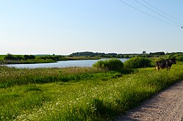 Langakių II tvenkinys nuo Langakių–Voskaičių keliuko