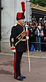 Il Drum Major della Royal Artillery Band in full dress.