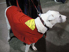 Cosplay de Krypto