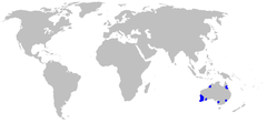 Mapa de distribuição da família Boryaceae.
