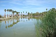 Lake Tuendae in Zzyzx