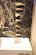 Têtes de lances en silex du Moustérien. Musée d'Israël.
