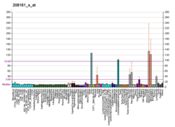 PBB GE ABCC3 208161 s at fs.png