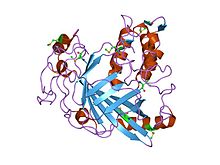 PDB 1vpr EBI.jpg