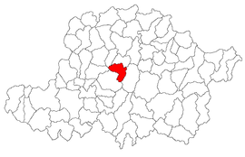 Location in Arad County