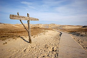 Curonian Spit National Park things to do in Neringa