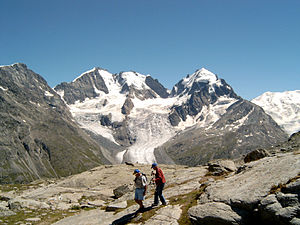 Tschiervagletscher von Nordwesten, mit Piz Bernina, Piz Scerscen und Piz Roseg (2003)