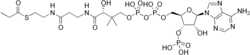 Propionyl-koenzym A.png