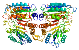 Image illustrative de l’article Caspase 9