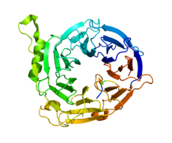 Представлено на основе PDB 3IIW.