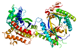 Protein GNAS PDB 1azs.png