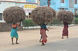 4. Women's work is never done: carrying hay (jute?) in Puri.