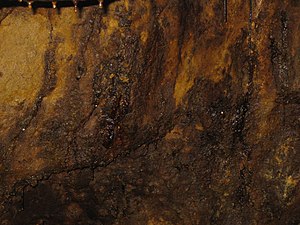 Rosia Montana Roman Gold Mines 2011 - Wall Det...