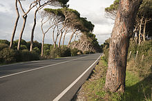 Provincial road number 23 (SP 23) in the province of Livorno (Tuscany region) SP23 Italia Strada Provinciale 23 principessa 2.jpg