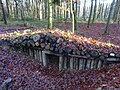 Bunkeranlage im Wald bei Schumannseck