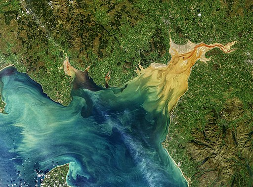 Sediment Sloshes in Solway Firth.jpg