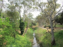 South Para R from Gawler Bridge 1.jpg